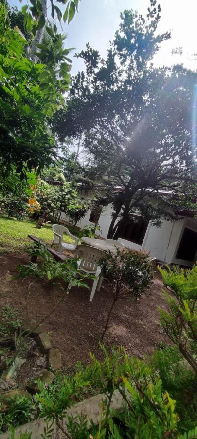 Sunset Villa نيجومبو المظهر الخارجي الصورة